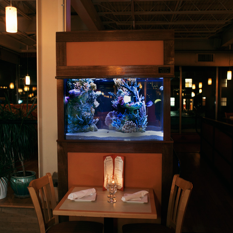 Saltwater Aquarium